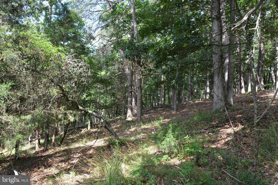 COMMERCIAL BUILDING WITH LAND YELLOW SPRING, WV