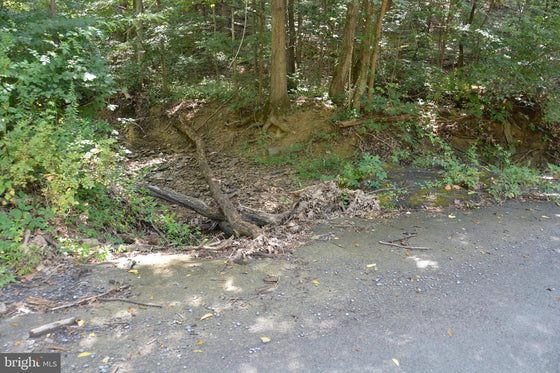 30.78 WOODED ACRES IN CROSS JUNCTION, VA