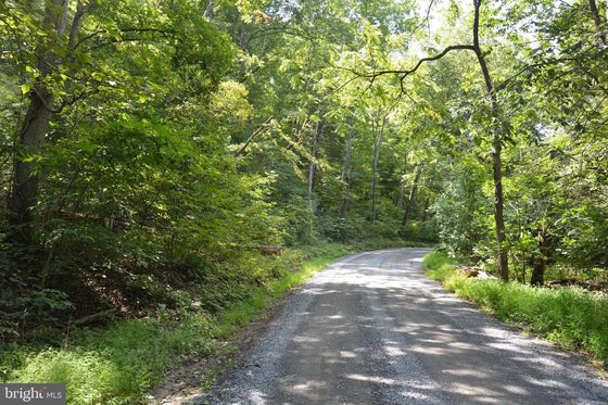 30.78 WOODED ACRES IN CROSS JUNCTION, VA