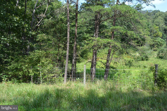 30.78 WOODED ACRES IN CROSS JUNCTION, VA