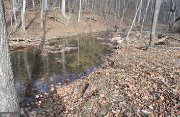 1.19 ACRES LAND IN GORE, VA WITH CREEK FRONTAGE-2