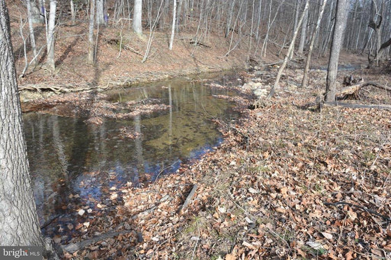 1.19 ACRES LAND IN GORE, VA WITH CREEK FRONTAGE