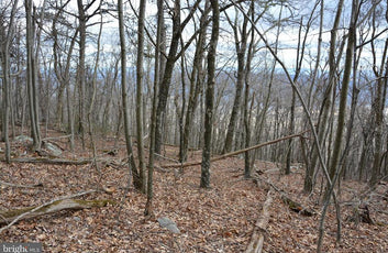 49.61 ACRES LAND ROCKWOOD TRAIL, WINCHESTER VA-10