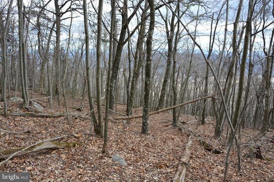 49.61 ACRES LAND ROCKWOOD TRAIL, WINCHESTER VA