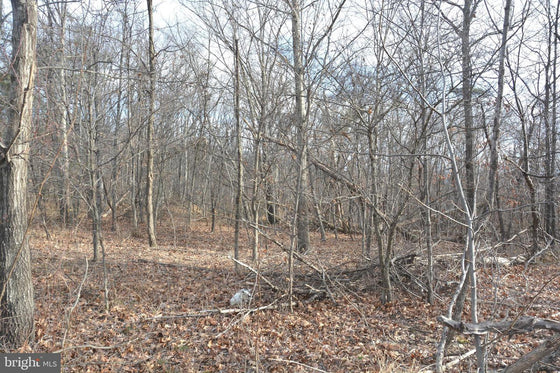 5.33 ACRES WOODED LAND IN CROSS JUNCTION, VA