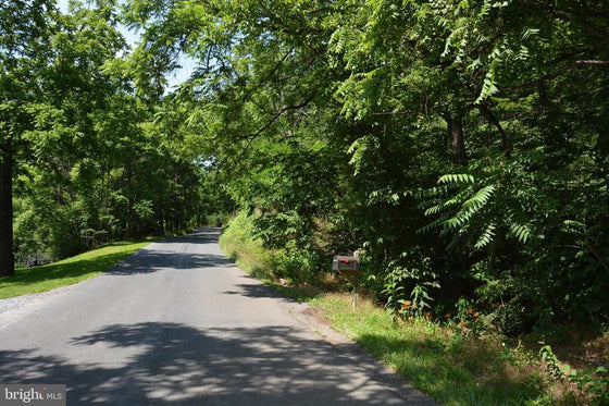 18.77 ACRES WOODED LAND WITH OLD HUNTING CABIN IN GORE, VA