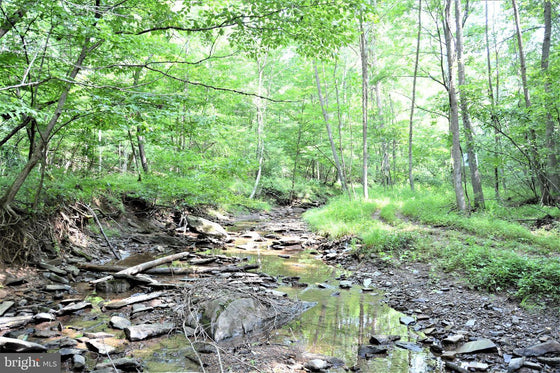 15.90 ACRES LAND WITH LITTLE MOUNTAIN CREEK FRONTAGE IN FREDERICK COUNTY, VA
