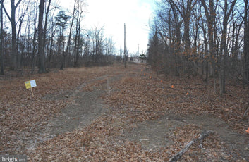 5.05 ACRES WOODED LAND IN CROSS JUNCTION, VA-3