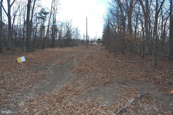 5.05 ACRES WOODED LAND IN CROSS JUNCTION, VA