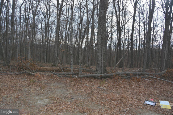 5.47 ACRES WOODED LAND IN CROSS JUNCTION, VA