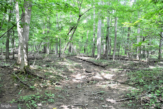 15.90 ACRES LAND WITH LITTLE MOUNTAIN CREEK FRONTAGE IN FREDERICK COUNTY, VA