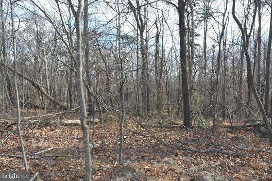 5.33 ACRES WOODED LAND IN CROSS JUNCTION, VA