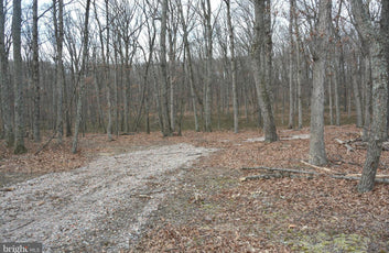 7.11 ACRES WOODED LAND IN CROSS JUNCTION, VA-5