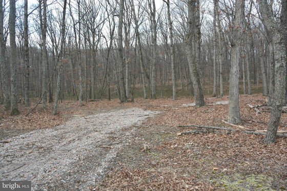 7.11 ACRES WOODED LAND IN CROSS JUNCTION, VA