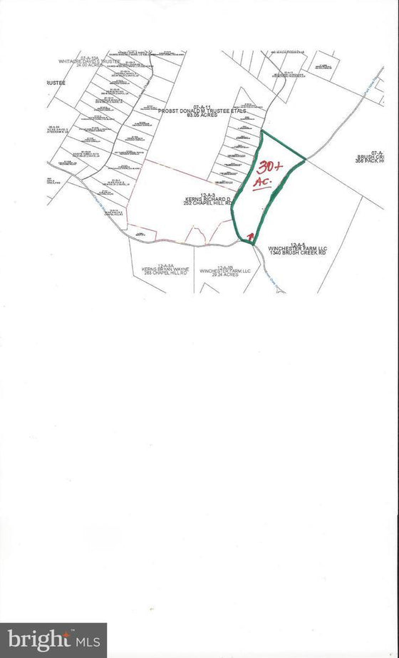 30.78 WOODED ACRES IN CROSS JUNCTION, VA
