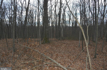 5.47 ACRES WOODED LAND IN CROSS JUNCTION, VA-5