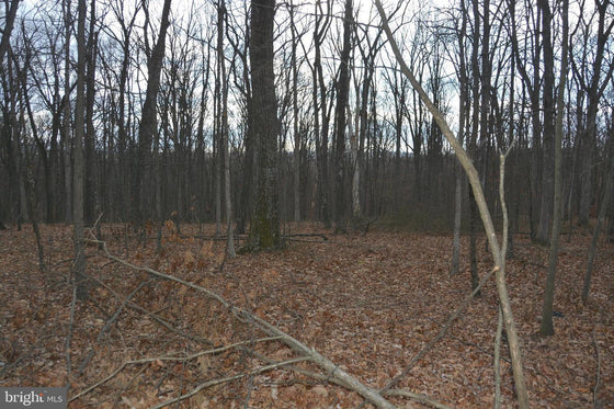5.47 ACRES WOODED LAND IN CROSS JUNCTION, VA