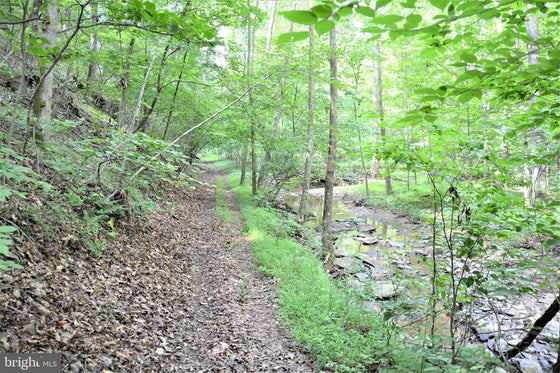 15.90 ACRES LAND WITH LITTLE MOUNTAIN CREEK FRONTAGE IN FREDERICK COUNTY, VA