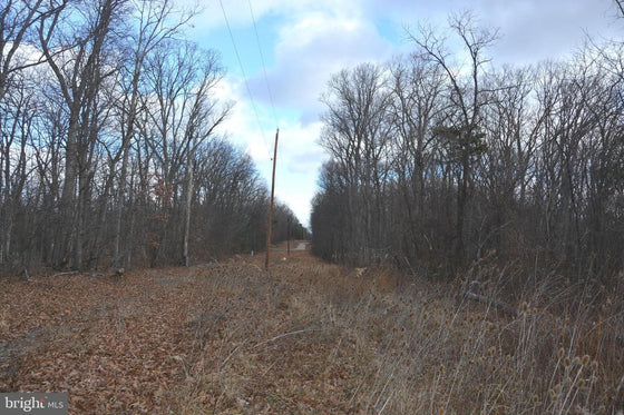 5.33 ACRES WOODED LAND IN CROSS JUNCTION, VA