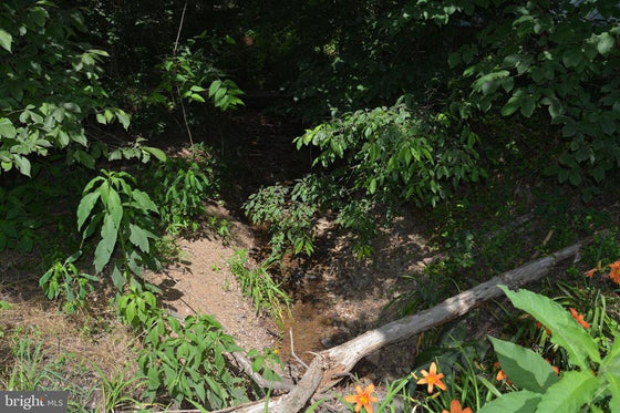 18.77 ACRES WOODED LAND WITH OLD HUNTING CABIN IN GORE, VA