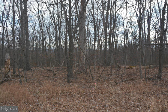 5.05 ACRES WOODED LAND IN CROSS JUNCTION, VA