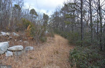 49.61 ACRES LAND ROCKWOOD TRAIL, WINCHESTER VA-12