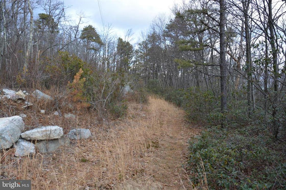 49.61 ACRES LAND ROCKWOOD TRAIL, WINCHESTER VA