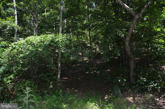 18.77 ACRES WOODED LAND WITH OLD HUNTING CABIN IN GORE, VA