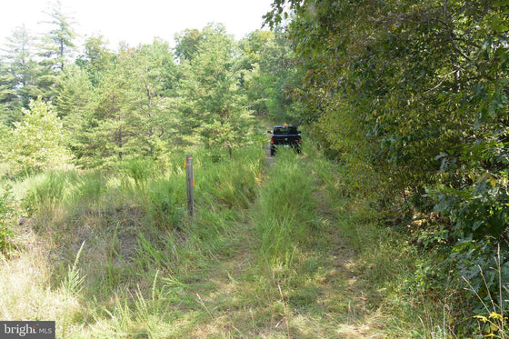 30.78 WOODED ACRES IN CROSS JUNCTION, VA