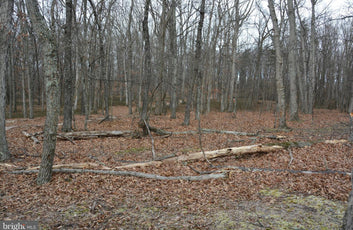 7.11 ACRES WOODED LAND IN CROSS JUNCTION, VA-6