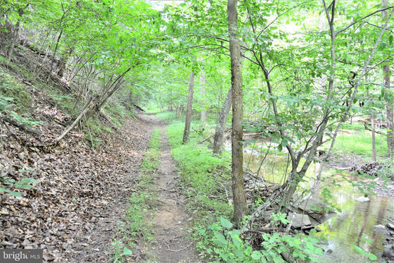 15.90 ACRES LAND WITH LITTLE MOUNTAIN CREEK FRONTAGE IN FREDERICK COUNTY, VA