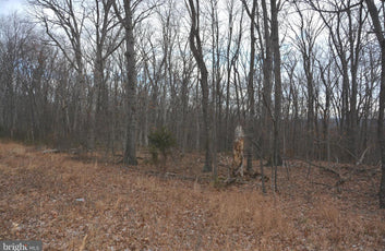 5.05 ACRES WOODED LAND IN CROSS JUNCTION, VA-5