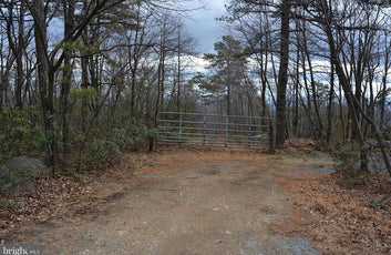 49.61 ACRES LAND ROCKWOOD TRAIL, WINCHESTER VA-13