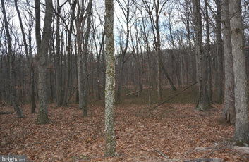 7.11 ACRES WOODED LAND IN CROSS JUNCTION, VA-7