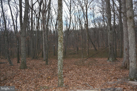 7.11 ACRES WOODED LAND IN CROSS JUNCTION, VA