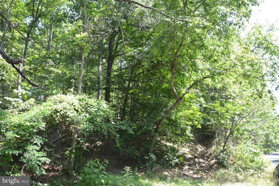 18.77 ACRES WOODED LAND WITH OLD HUNTING CABIN IN GORE, VA