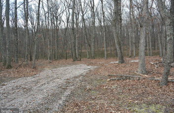 5.47 ACRES WOODED LAND IN CROSS JUNCTION, VA-7