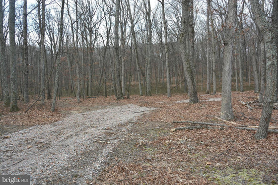 5.47 ACRES WOODED LAND IN CROSS JUNCTION, VA