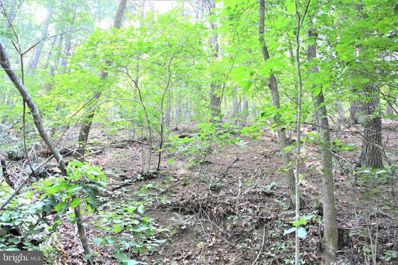 15.90 ACRES LAND WITH LITTLE MOUNTAIN CREEK FRONTAGE IN FREDERICK COUNTY, VA