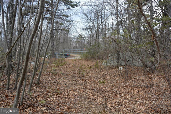 49.61 ACRES LAND ROCKWOOD TRAIL, WINCHESTER VA