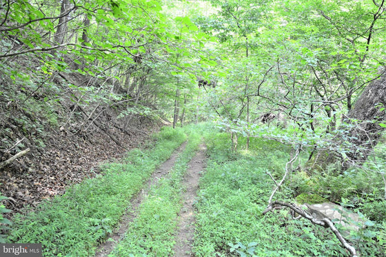 15.90 ACRES LAND WITH LITTLE MOUNTAIN CREEK FRONTAGE IN FREDERICK COUNTY, VA