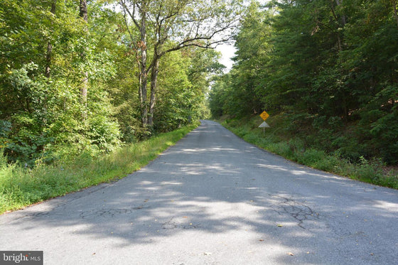 30.78 WOODED ACRES IN CROSS JUNCTION, VA