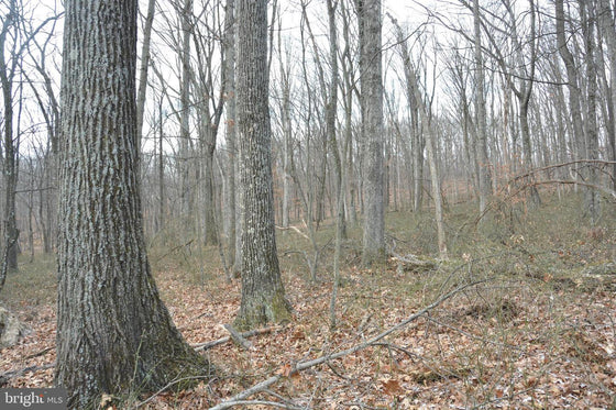 7.11 ACRES WOODED LAND IN CROSS JUNCTION, VA