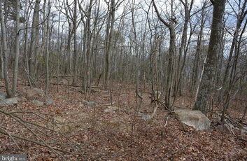 49.61 ACRES LAND ROCKWOOD TRAIL, WINCHESTER VA-15