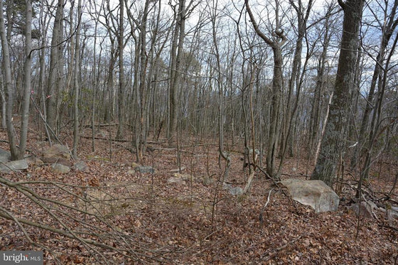 49.61 ACRES LAND ROCKWOOD TRAIL, WINCHESTER VA