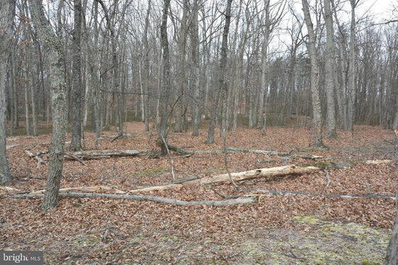 5.47 ACRES WOODED LAND IN CROSS JUNCTION, VA