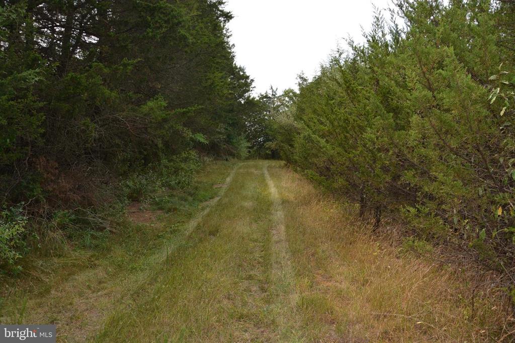 9.44 PRIME COMMERCIAL ACRES IN STEPHENS CITY, VA