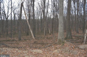 7.11 ACRES WOODED LAND IN CROSS JUNCTION, VA-9