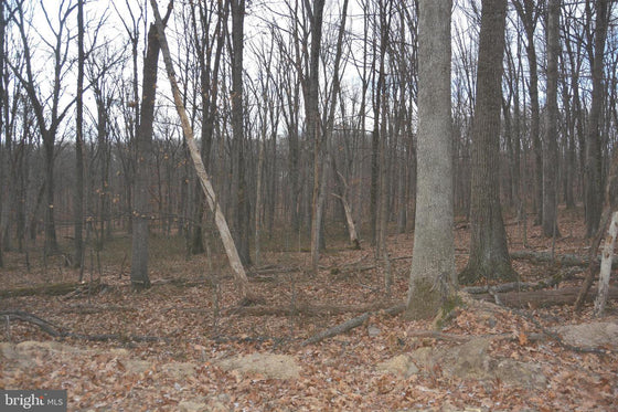 7.11 ACRES WOODED LAND IN CROSS JUNCTION, VA