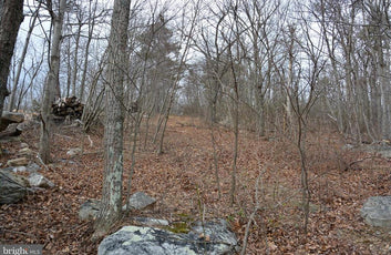 49.61 ACRES LAND ROCKWOOD TRAIL, WINCHESTER VA-16